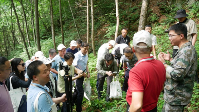 首屆野山參大會隆重召開（0715-加圖）4102.png